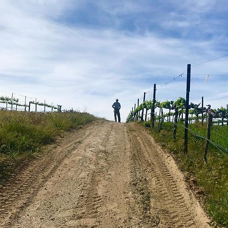 Domaine Chardonnay Panzió Temecula Kültér fotó
