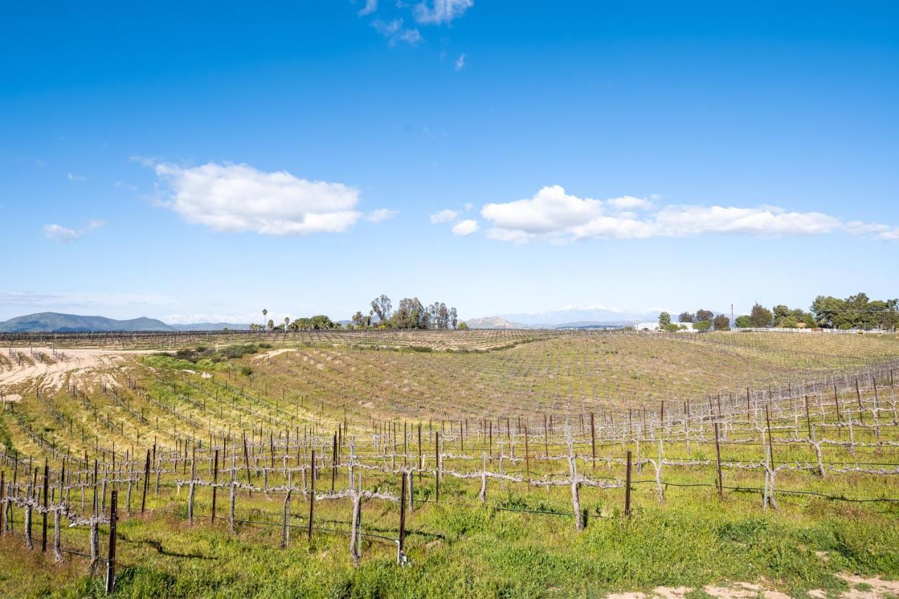 Domaine Chardonnay Panzió Temecula Kültér fotó