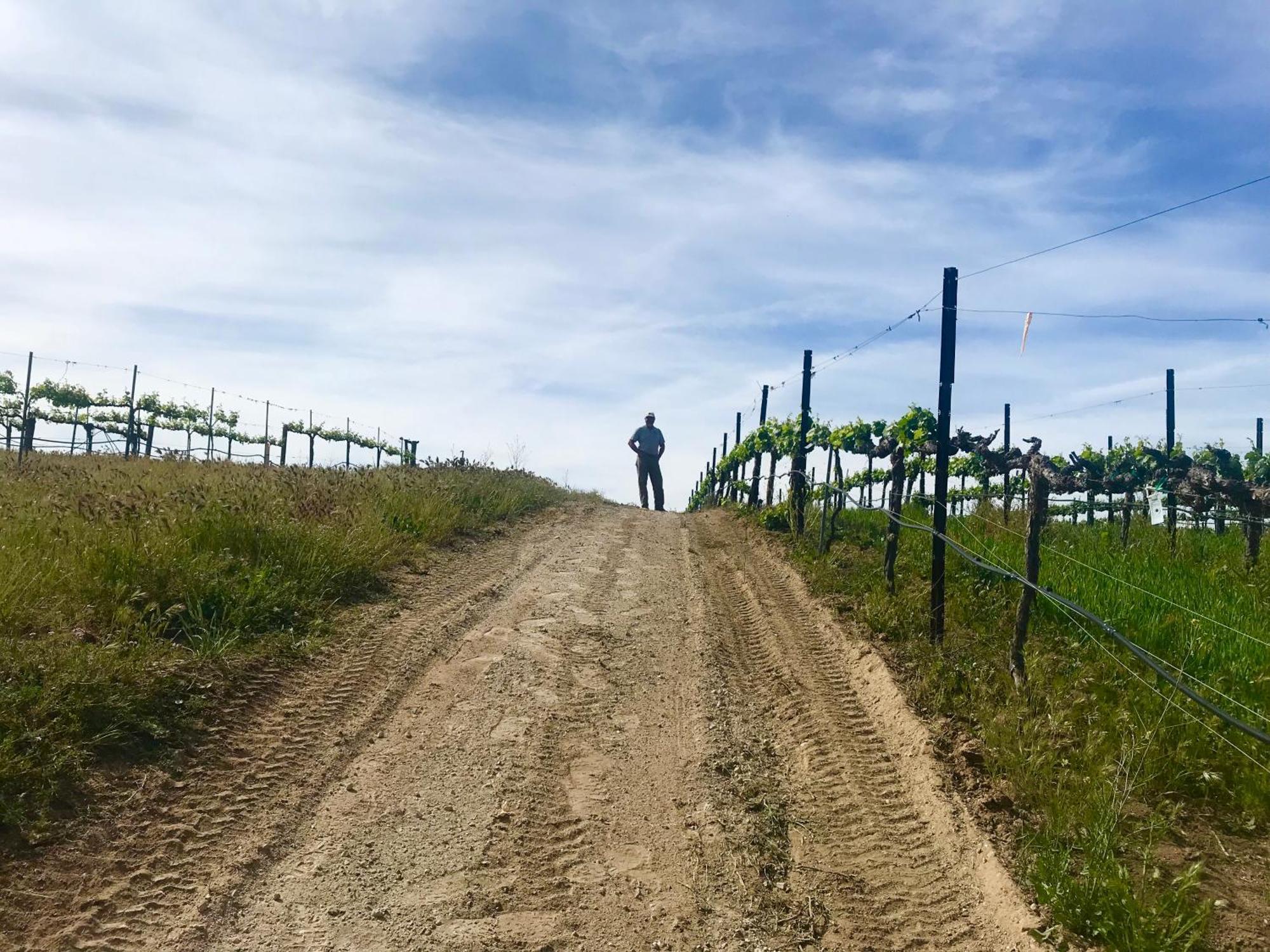 Domaine Chardonnay Panzió Temecula Kültér fotó