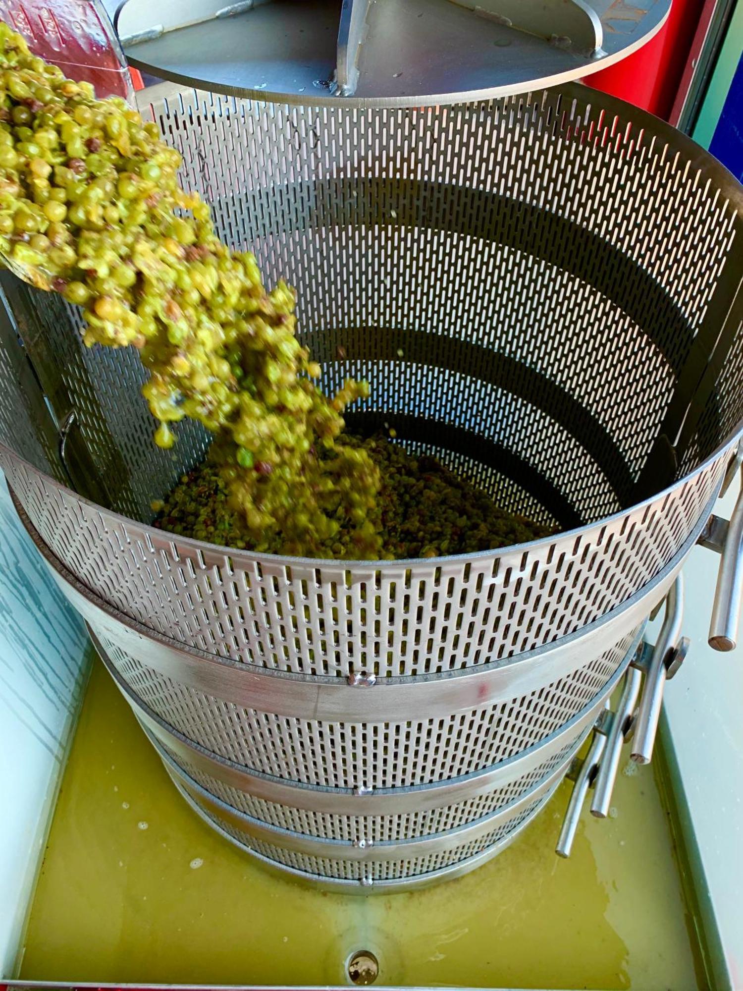 Domaine Chardonnay Panzió Temecula Kültér fotó