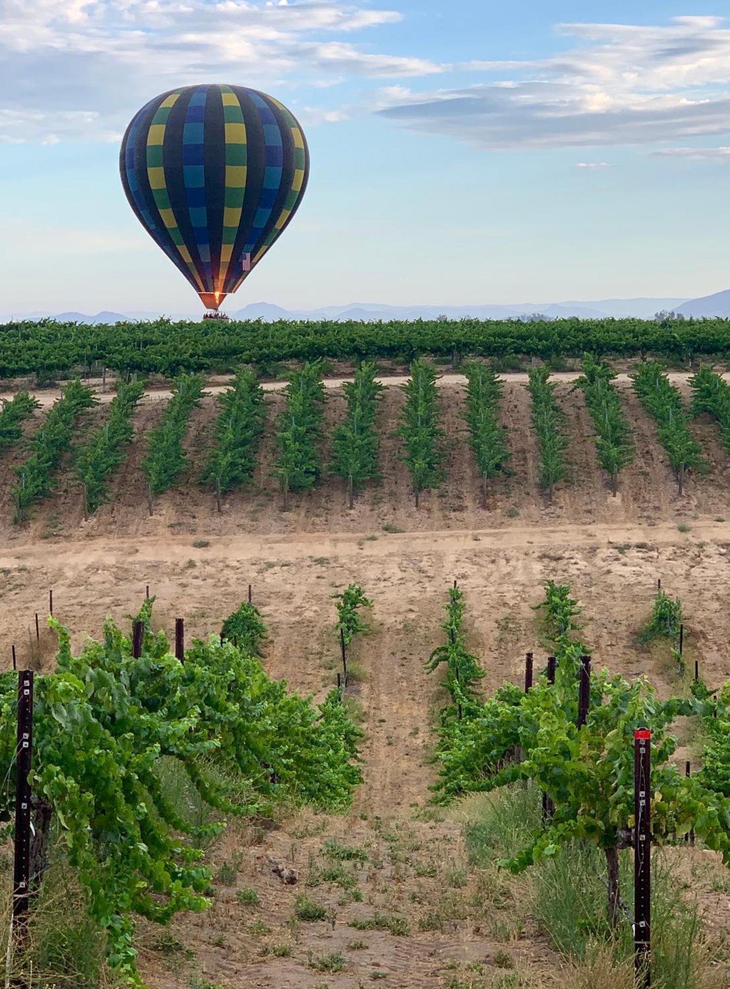 Domaine Chardonnay Panzió Temecula Kültér fotó
