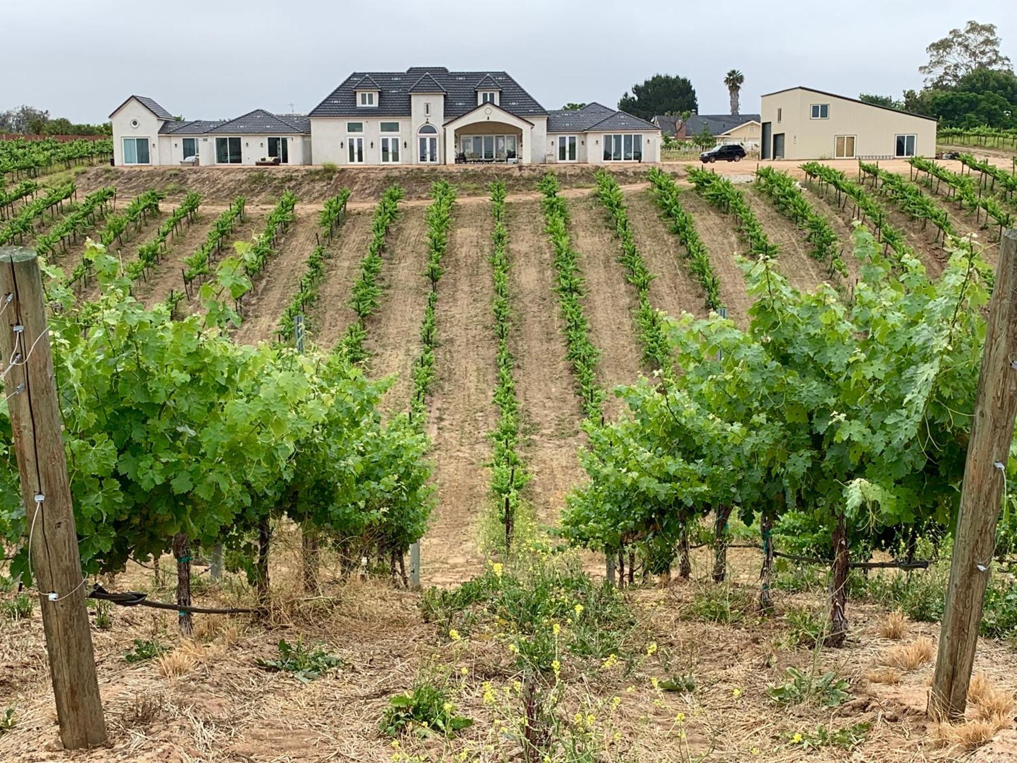 Domaine Chardonnay Panzió Temecula Kültér fotó